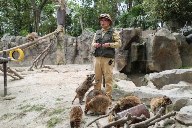 上野大熊猫百日庆邀你免费游园！