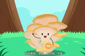 蘑菇味道虽鲜美，吃错中毒能要命图片