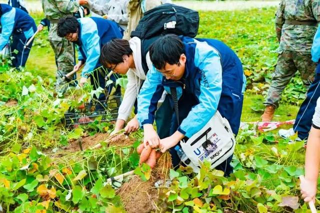 邀您免费畅玩！来木兰不夜城探索侠气与温柔