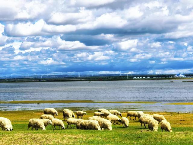 夏游张家口 消夏避暑季| 畅玩河北坝上之张家口张北篇