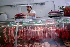 中方调查进口牛肉，巴西回应图片