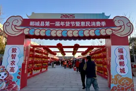 品味非遗，周口郸城年货节点燃新春经济｜我在河南过春节图片