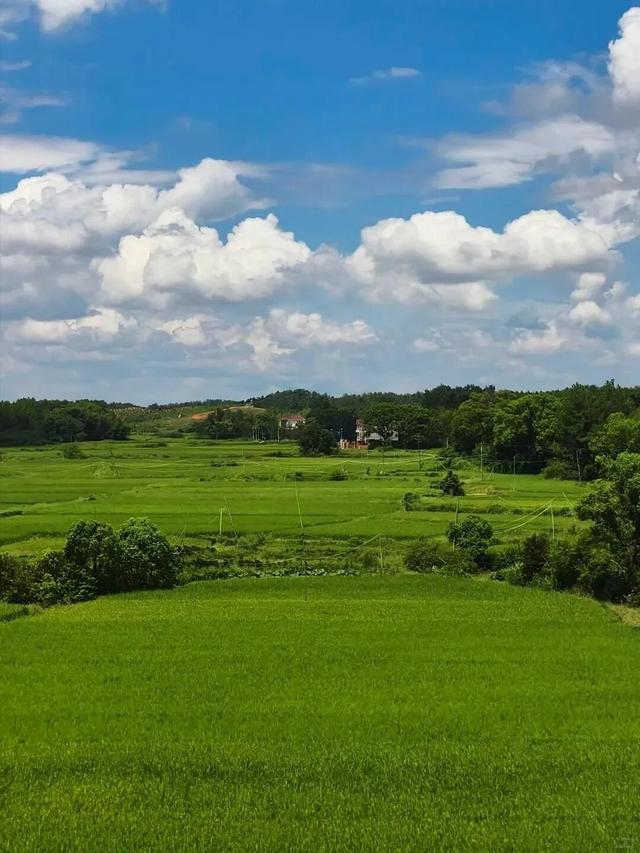 赣鄱青黛处，水墨映归程