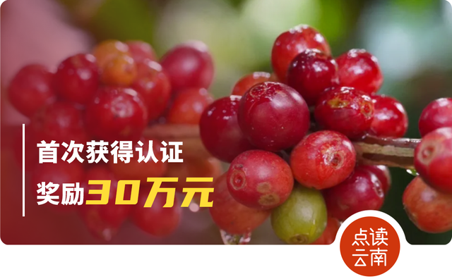 “组合拳”点燃云南文旅消费