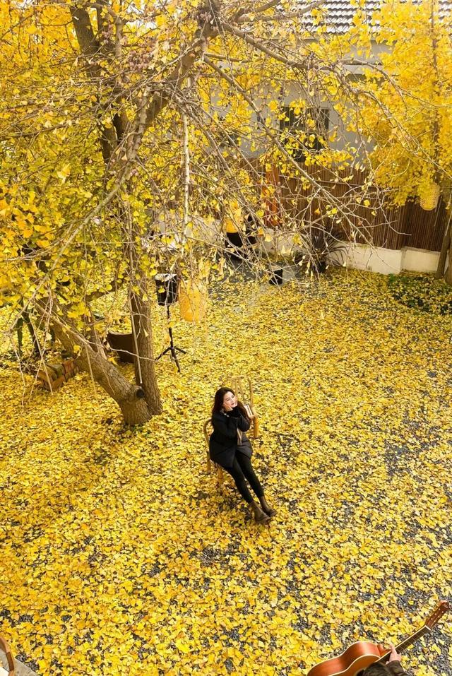 @高邮人 邀请您找寻心中的……