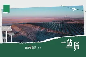 世界地球日|“种太阳”种出绿色排土场图片