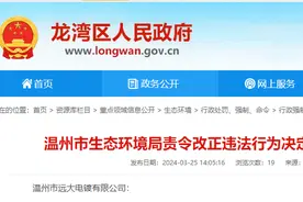 废渣未按规定和环境保护标准要求贮存，温州市远大电镀有限公司受处罚图片
