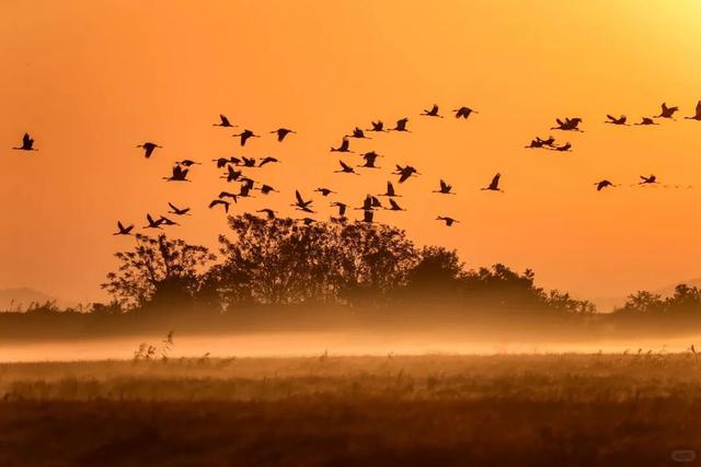 “疗愈式”旅行，来江西就对了！
