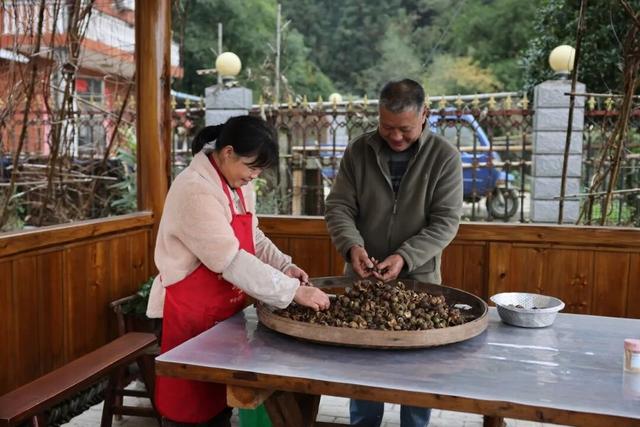 芳林坪民宿经济火出圈