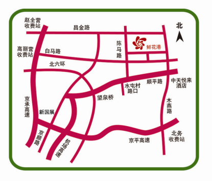 北京国际鲜花港10万平方米花海盛放，国庆增加绚丽夜场