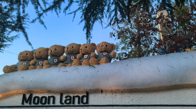 洛阳，新晋网红打卡地+1+1+1+1+1