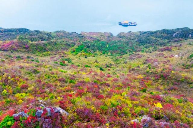 巫峡红透时，才懂中国秋天的壮阔