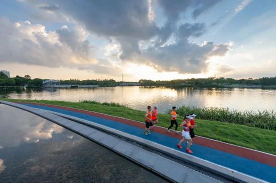 都市天际线下的葡萄藤 是上海马陆镇的混搭美学