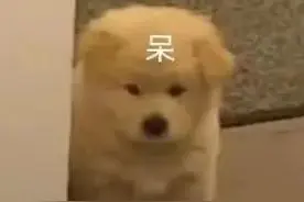 你知道开车如何正确掉头吗？快来看看吧！图片