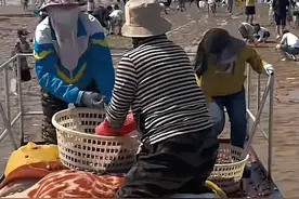 情绪价值拉满！日照撒蛤蜊、三亚赠椰子、焦作送西瓜……图片