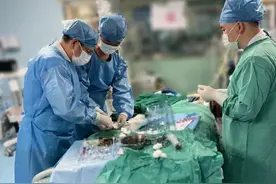 14根肋骨骨折，刺破肺脏导致胸腔内大出血，患者最终……图片