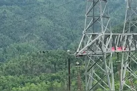 江西：无人机自主巡检提升电网运维质效图片