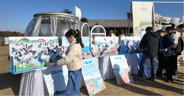 2025崇明东滩观鸟生活季启幕