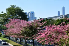 即将回暖，广州最低气温将升至10℃以上，白天也会更暖图片