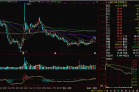 上游理财周报 | “猪王”牧原年报靓丽 为何股价疲软？图片