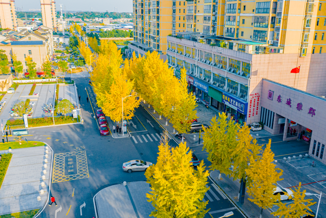 金灿灿！宜都限定美景上线！