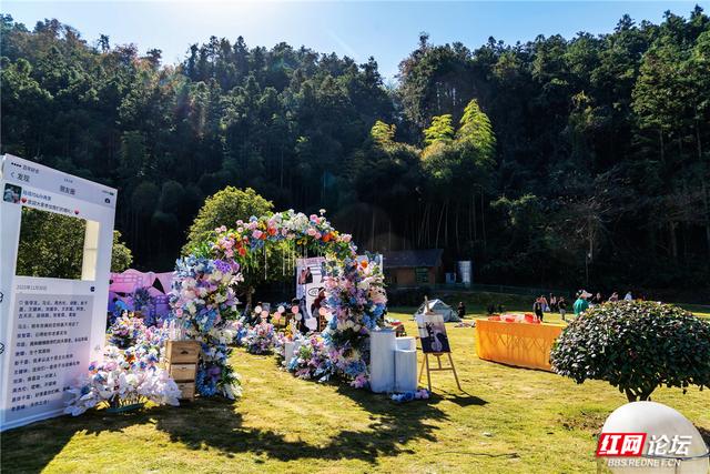 【每日一图@湖南】刷屏预警！靖州排牙山千亩水杉林绝美上线