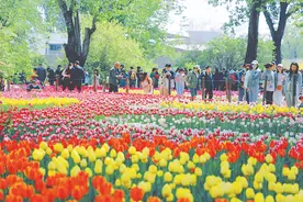 可逛可赏、可玩可学、可尝可购 北京市属公园发布“五一”亲子游园指南图片