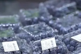 “跨越山海到餐桌” 中秘农业合作与繁荣之路越走越宽图片