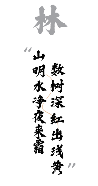 绝绝子！除了绝绝子，我还能怎么夸洛阳