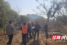 以实干按下“快进键” 望城助力地铁4号线北延工程建设图片