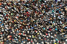 全球减肥大战开打，中国企业重兵出击图片