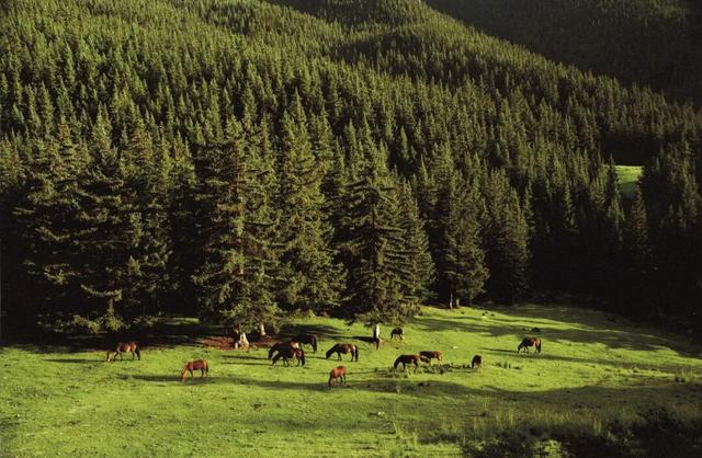 这个周末，在绍兴遇见“千里之外”的阿拉善