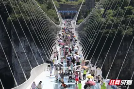 日均接待超1万人次 张家界大峡谷景区避暑游进入高峰图片