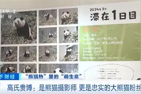 “吸睛”又“吸金”！大熊猫香香6年为日本带来28亿元经济效益图片
