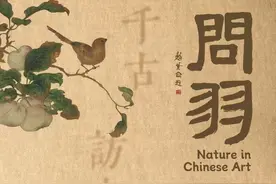 20人，免费，提前看！跟着浙博馆长陈水华赏宋画真迹里的鸟图片