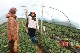 雪停以后如何给积冰大棚“减压”？来听听专家建议图片