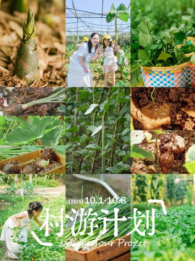 是时候回村了！来南宁共享田园慢生活，共赏万亩灯海