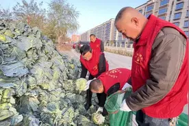 库尔勒市爱心协会向一线环卫工人捐赠10余吨爱心白菜图片