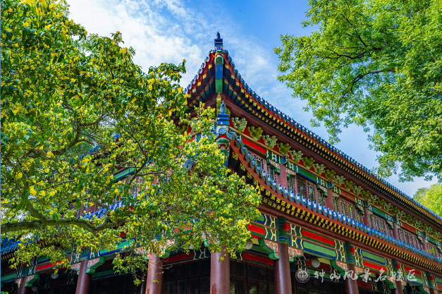 南京钟山风景区发布游览交通指南