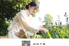 “95后”新茶人肖珺景：只想把信阳毛尖做好、推广好图片