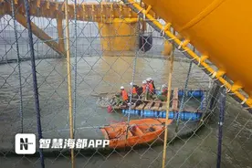 进过“健身房”的大黄鱼收成啦！全球首个漂浮式风渔融合项目取得成功图片
