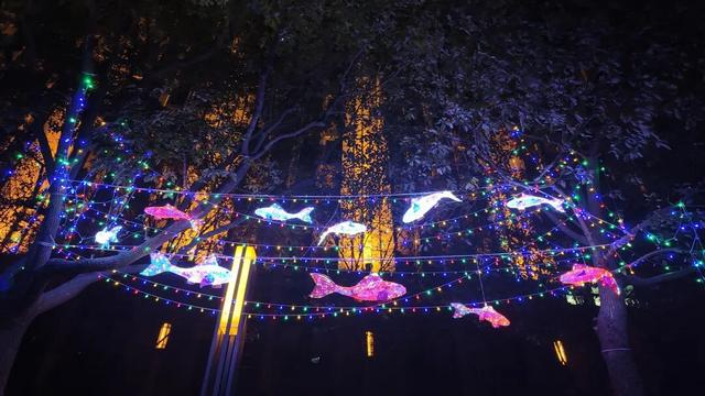 家门口的灯光艺术！第五届万里灯光艺术季解锁冬日浪漫