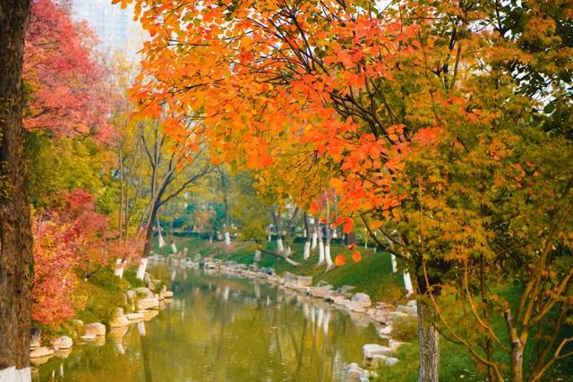 顶级美学!西安这4个园林,美到失语!