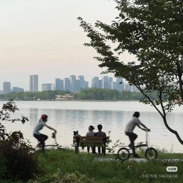 来滨湖，有“骑”遇！