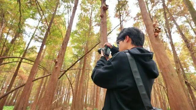 到肇庆，邂逅一场岭南绚彩之冬！