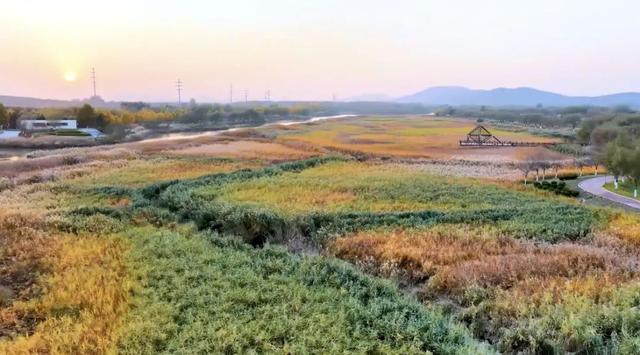 冬韵染南海 一帧一景皆画境