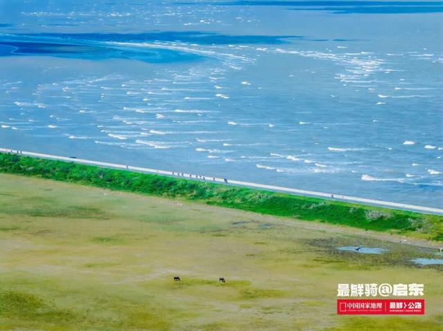 最鲜城市，请回答！