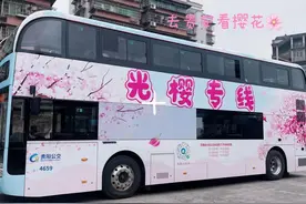 2024年贵安樱花节贵阳公交旅游专线亮相！图片
