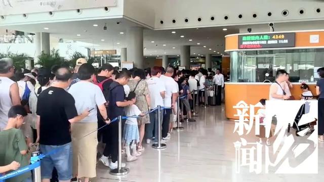 上海自然博物馆内多名儿童翻越禁区，家长还在旁鼓励？志愿者：曾有活体被摸死