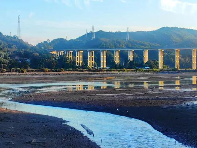 为了在这打卡，特意去了趟前岐！